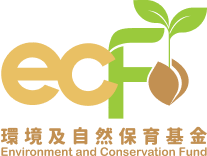 ECF logo